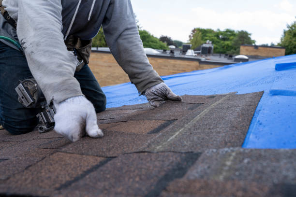 Best Metal Roofing Contractor  in Lincoln Center, KS